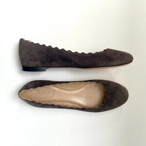 NWOT Chloe Lauren Suede Scalloped Detail Ballerina Flats Grey Taupe‎ Size 36 / 6